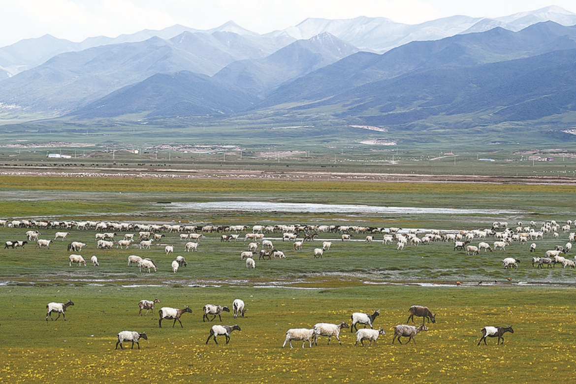 Qilian Mountain Ecological Ranch